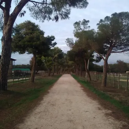 Biocampus La Roccaccia - Universita' Agraria Di Tarquinia * Montebello