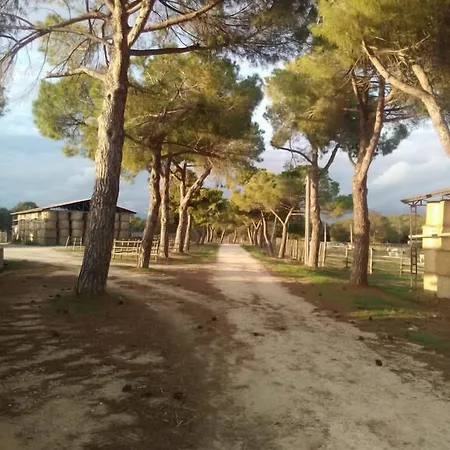 Gospodarstwo agroturystyczne Biocampus La Roccaccia - Universita' Agraria Di Tarquinia Montebello